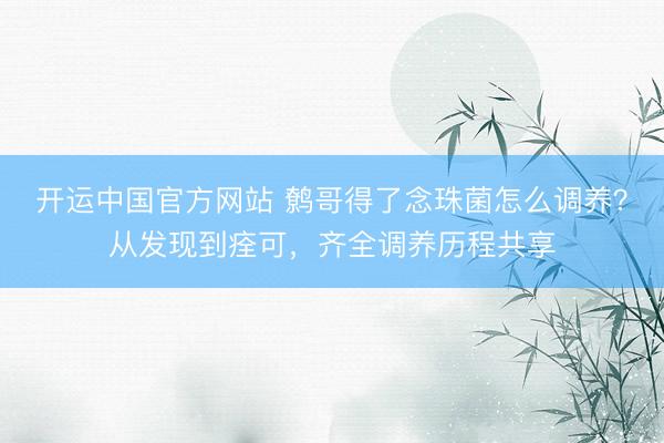 开运中国官方网站 鹩哥得了念珠菌怎么调养？从发现到痊可，齐全调养历程共享