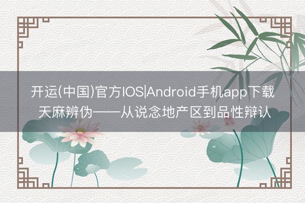 开运(中国)官方IOS|Android手机app下载 天麻辨伪——从说念地产区到品性辩认