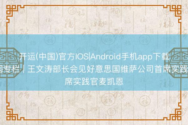 开运(中国)官方IOS|Android手机app下载 投资中国专栏 | 王文涛部长会见好意思国维萨公司首席实践官麦凯恩