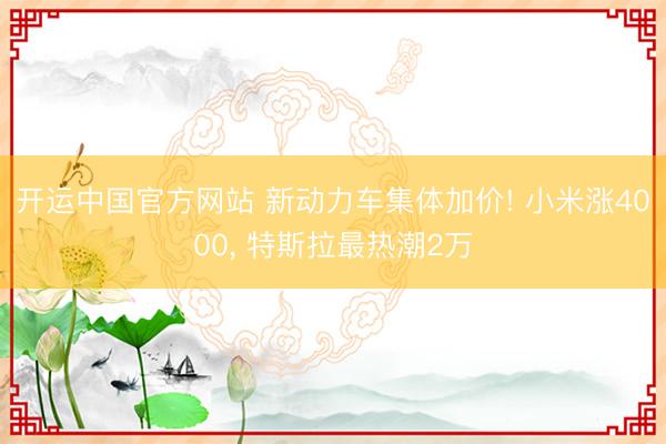 开运中国官方网站 新动力车集体加价! 小米涨4000, 特斯拉最热潮2万