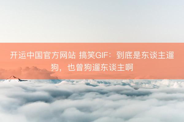 开运中国官方网站 搞笑GIF：到底是东谈主遛狗，也曾狗遛东谈主啊