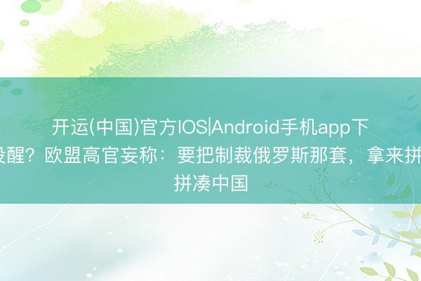 开运(中国)官方IOS|Android手机app下载 梦没醒？欧盟高官妄称：要把制裁俄罗斯那套，拿来拼凑中国