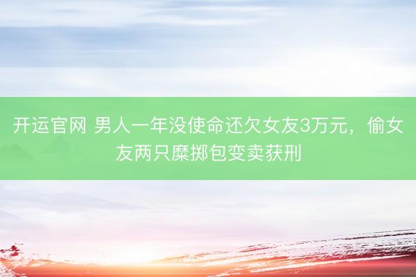 开运官网 男人一年没使命还欠女友3万元，偷女友两只糜掷包变卖获刑